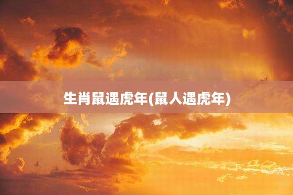 生肖鼠遇虎年(鼠人遇虎年)