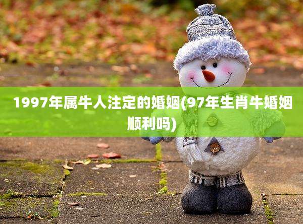 1997年属牛人注定的婚姻(97年生肖牛婚姻顺利吗)