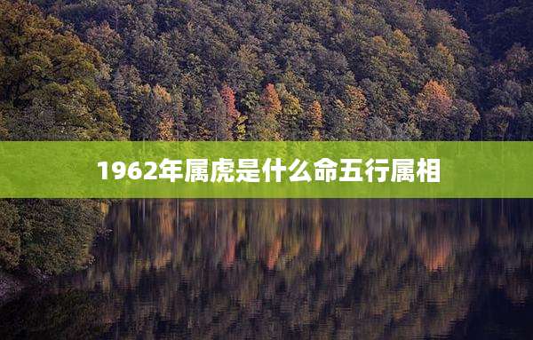 1962年属虎是什么命五行属相
