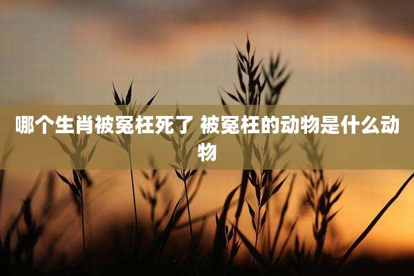 哪个生肖被冤枉死了 被冤枉的动物是什么动物