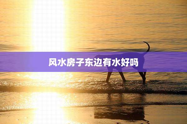 风水房子东边有水好吗