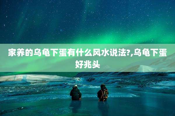 家养的乌龟下蛋有什么风水说法?,乌龟下蛋好兆头