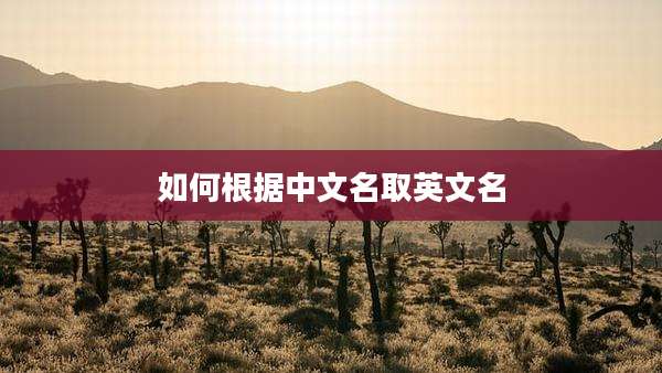 如何根据中文名取英文名