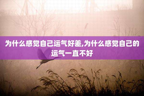 为什么感觉自己运气好差,为什么感觉自己的运气一直不好