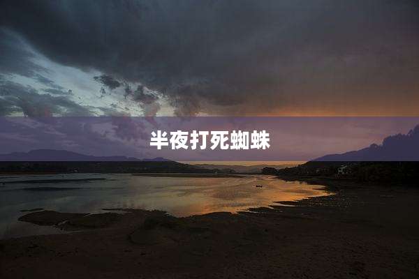 半夜打死蜘蛛