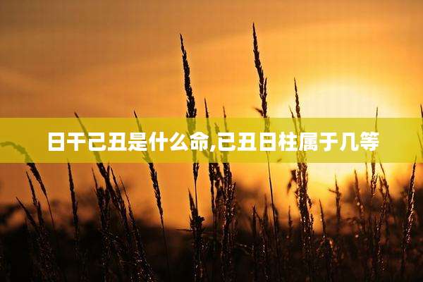日干己丑是什么命,已丑日柱属于几等