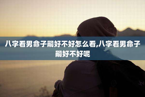 八字看男命子嗣好不好怎么看,八字看男命子嗣好不好呢