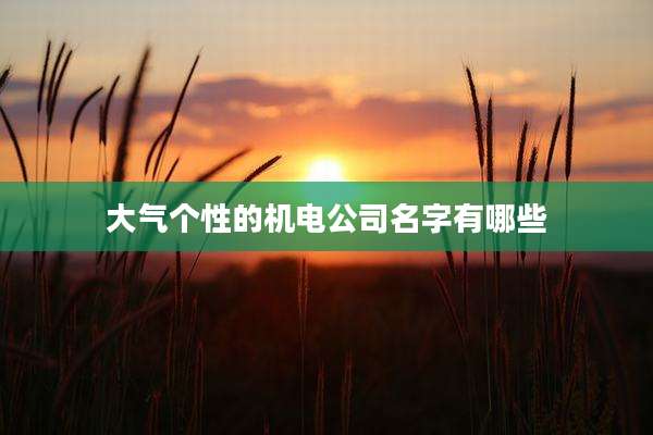 大气个性的机电公司名字有哪些