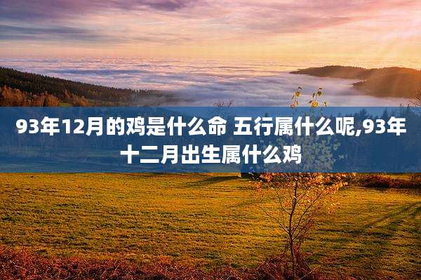 93年12月的鸡是什么命 五行属什么呢,93年十二月出生属什么鸡