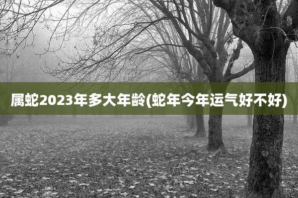 属蛇2023年多大年龄(蛇年今年运气好不好)
