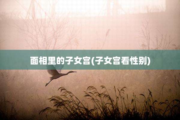 面相里的子女宫(子女宫看性别)