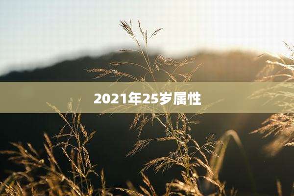 2021年25岁属性