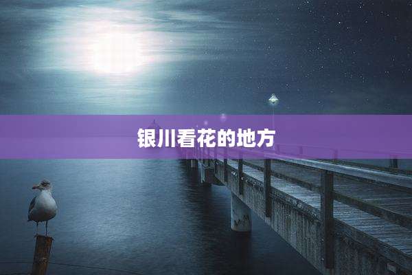 银川看花的地方