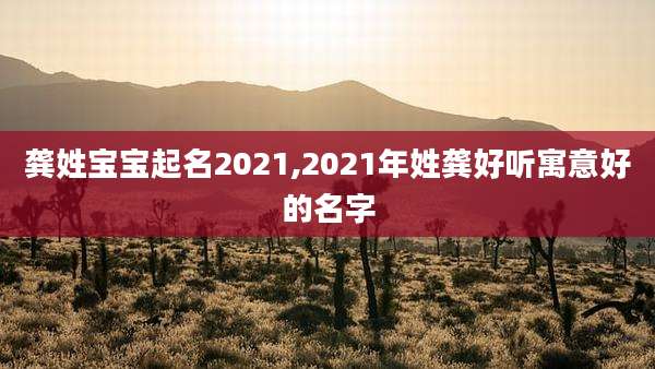龚姓宝宝起名2021,2021年姓龚好听寓意好的名字