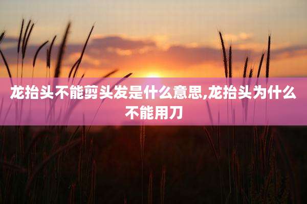 龙抬头不能剪头发是什么意思,龙抬头为什么不能用刀