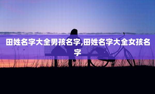 田姓名字大全男孩名字,田姓名字大全女孩名字