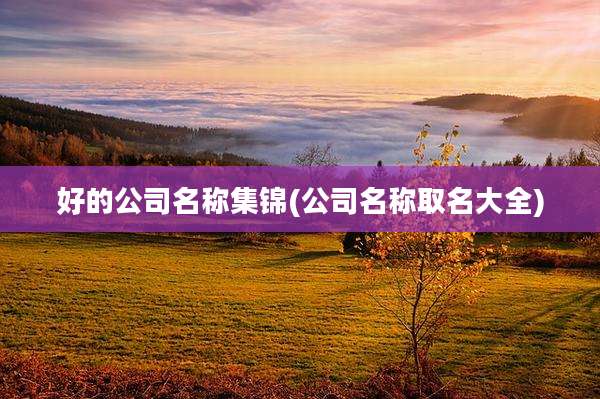 好的公司名称集锦(公司名称取名大全)