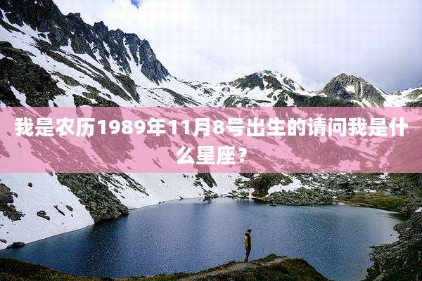 我是农历1989年11月8号出生的请问我是什么星座？