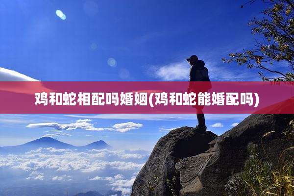 鸡和蛇相配吗婚姻(鸡和蛇能婚配吗)
