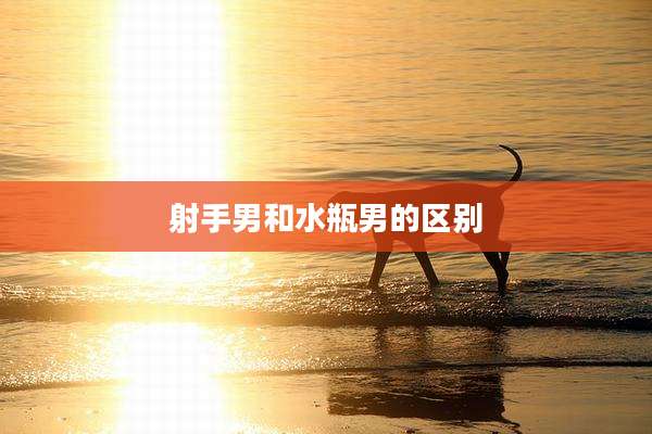 射手男和水瓶男的区别