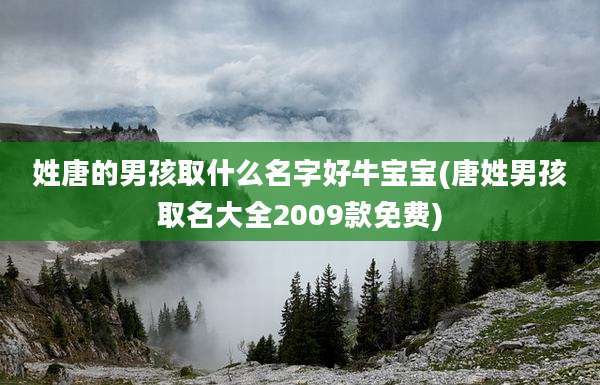 姓唐的男孩取什么名字好牛宝宝(唐姓男孩取名大全2009款免费)