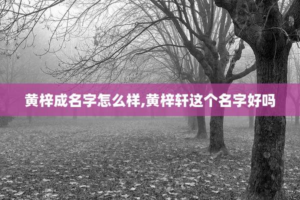 黄梓成名字怎么样,黄梓轩这个名字好吗