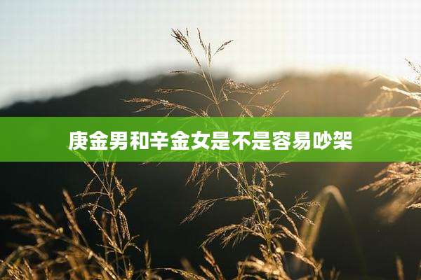 庚金男和辛金女是不是容易吵架