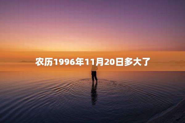 农历1996年11月20日多大了