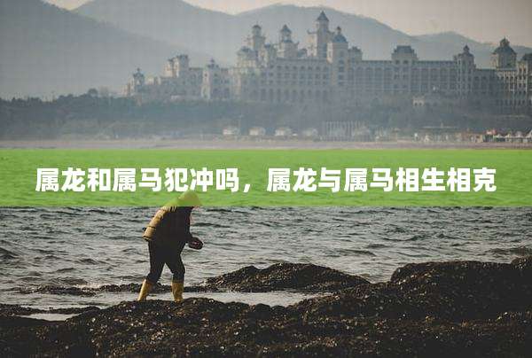属龙和属马犯冲吗，属龙与属马相生相克