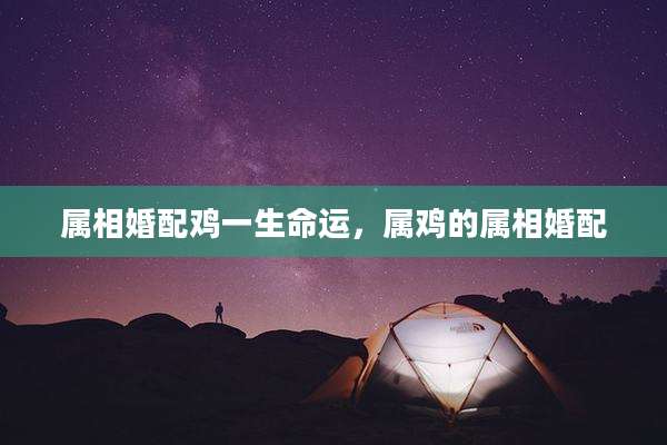 属相婚配鸡一生命运，属鸡的属相婚配