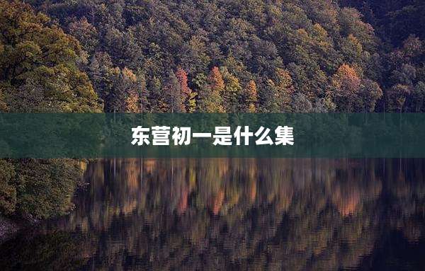 东营初一是什么集