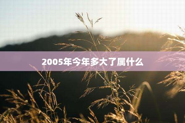 2005年今年多大了属什么