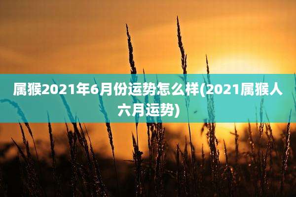 属猴2021年6月份运势怎么样(2021属猴人六月运势)