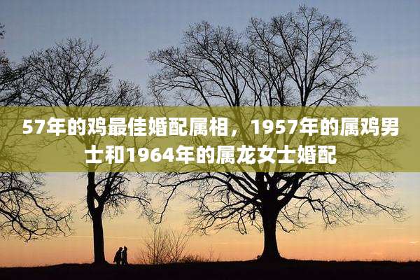 57年的鸡最佳婚配属相，1957年的属鸡男士和1964年的属龙女士婚配