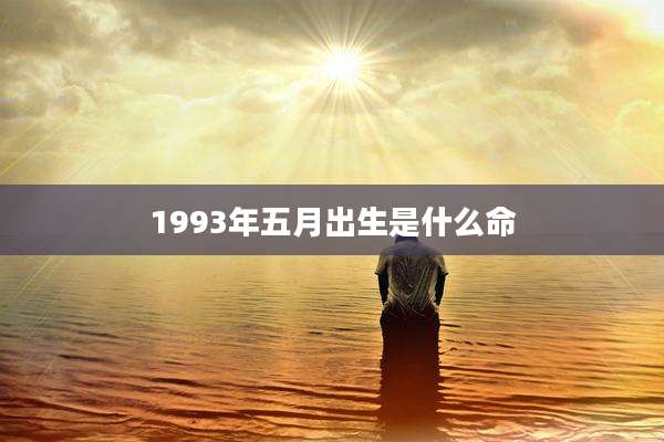 1993年五月出生是什么命