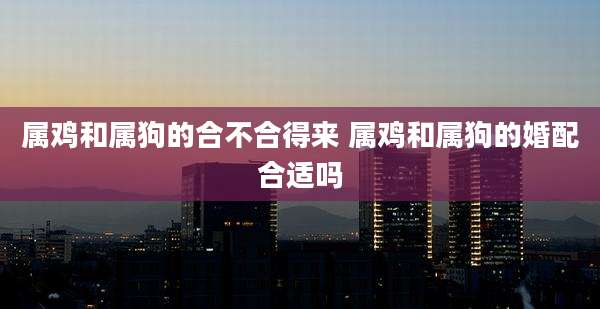 属鸡和属狗的合不合得来 属鸡和属狗的婚配合适吗