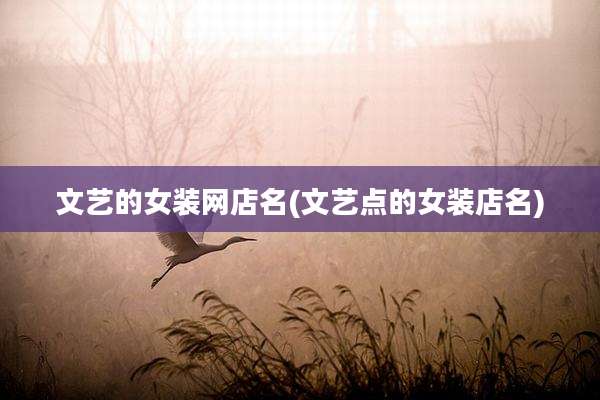 文艺的女装网店名(文艺点的女装店名)