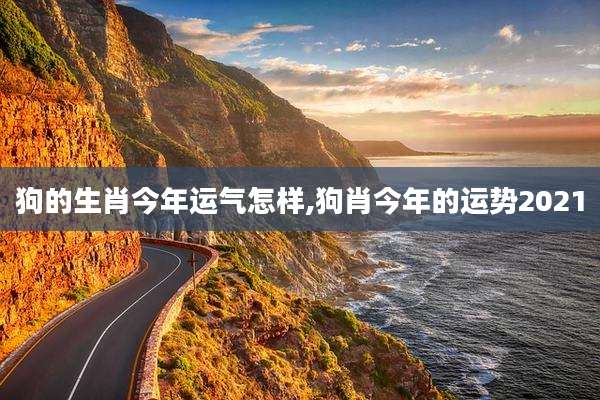 狗的生肖今年运气怎样,狗肖今年的运势2021