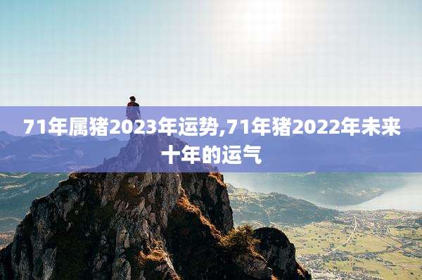 71年属猪2023年运势,71年猪2022年未来十年的运气