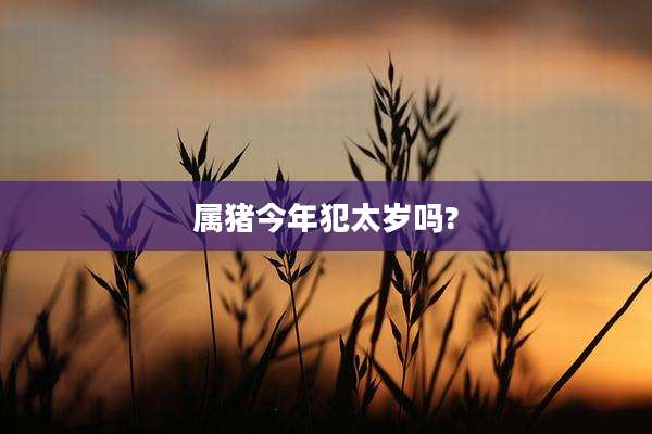 属猪今年犯太岁吗?