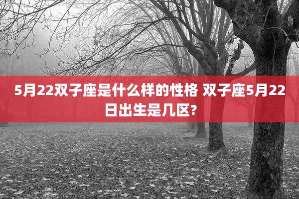 5月22双子座是什么样的性格 双子座5月22日出生是几区?