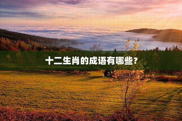 十二生肖的成语有哪些？