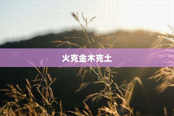 火克金木克土