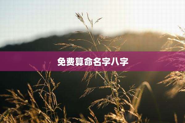 免费算命名字八字