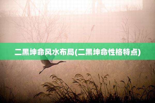 二黑坤命风水布局(二黑坤命性格特点)