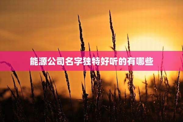 能源公司名字独特好听的有哪些