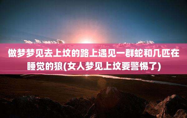 做梦梦见去上坟的路上遇见一群蛇和几匹在睡觉的狼(女人梦见上坟要警惕了)