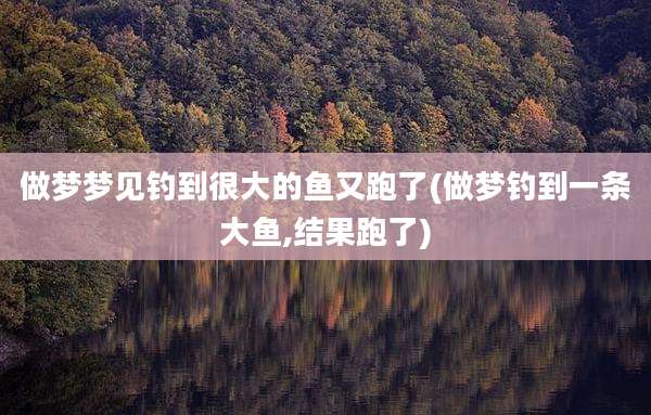 做梦梦见钓到很大的鱼又跑了(做梦钓到一条大鱼,结果跑了)