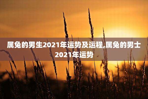 属兔的男生2021年运势及运程,属兔的男士2021年运势
