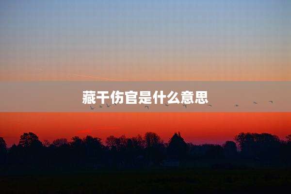 藏干伤官是什么意思